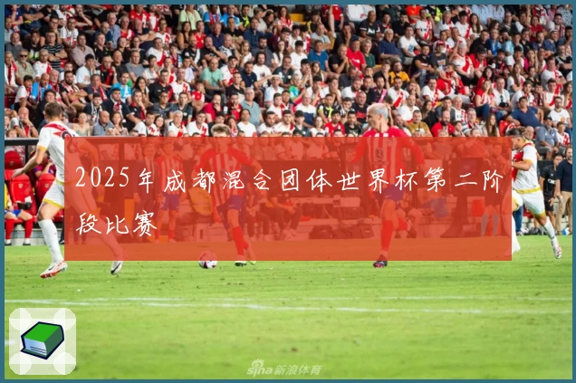 2025年成都混合团体世界杯第二阶段比赛