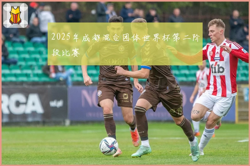 2025年成都混合团体世界杯第二阶段比赛