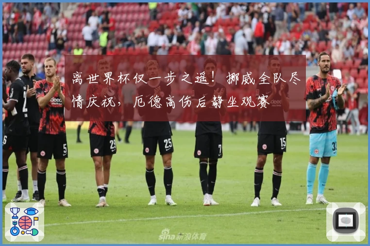 离世界杯仅一步之遥！挪威全队尽情庆祝，厄德高伤后静坐观赛