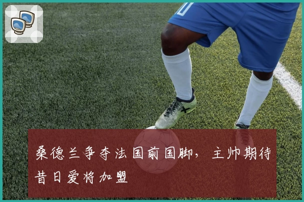 桑德兰争夺法国前国脚，主帅期待昔日爱将加盟