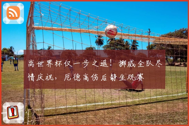 离世界杯仅一步之遥！挪威全队尽情庆祝，厄德高伤后静坐观赛